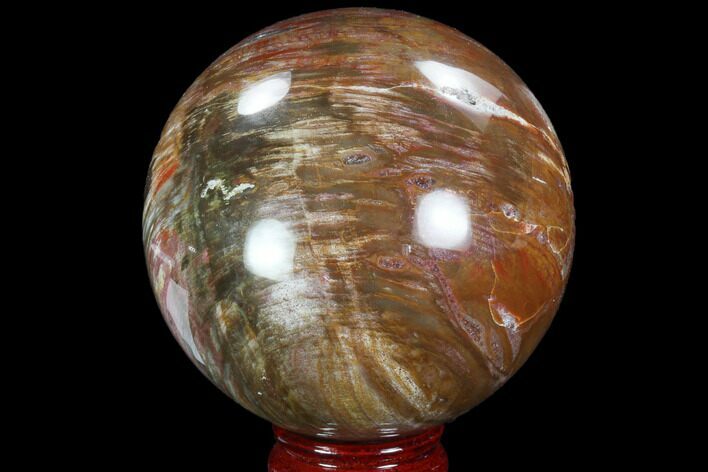 Colorful, Petrified Wood Sphere - Madagascar #98460